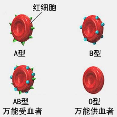 圖片4.png 圖片4.png