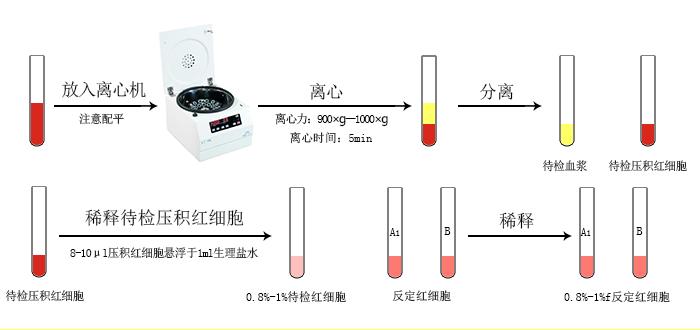 血型卡檢測樣品處理圖.jpg 血型卡檢測樣品處理圖.jpg